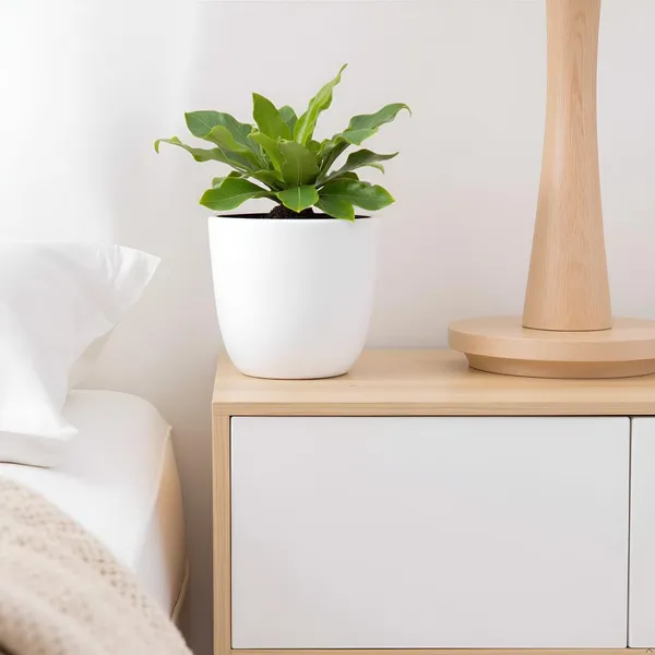 Avani_4.5D_White_Ceramic_Pots_For_Indoor_Plants,_Planters,Gamla,Outdoor,Balcony,Home,Round,Garden,_Office_Decor,Succulent(H_-_9_X_D_-_11.5_Cm)