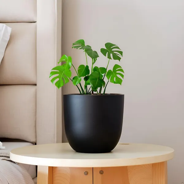 Avani_4.5D_Black_Gold_Ceramic_Pots_For_Indoor_Plants,_Planters,Gamla,Outdoor,Balcony,Home,Round,Garden,_Office_Decor,Succulent(H_-_9_X_D_-_11.5_Cm)