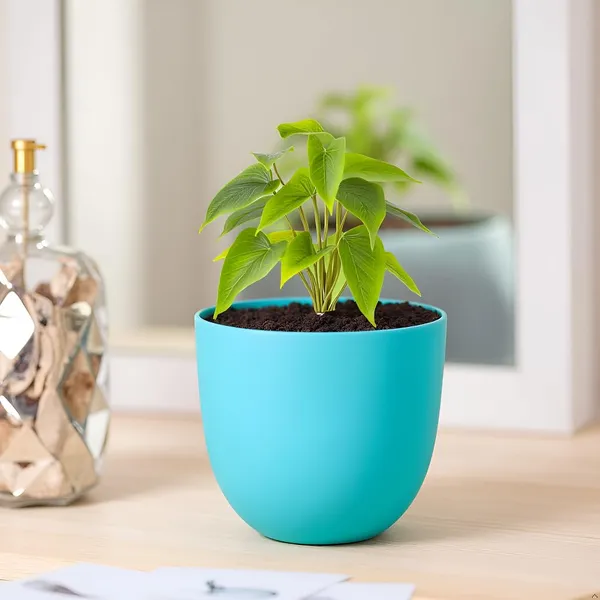 Avani_5D_Aqua_Ceramic_Pots_For_Indoor_Plants,_Planters,Gamla,Outdoor,Balcony,Home,Round,Garden,_Office_Decor,Succulent(H_-_11_X_D_-_13_Cm)