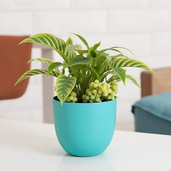 Avani_5D_Aqua_Ceramic_Pots_For_Indoor_Plants,_Planters,Gamla,Outdoor,Balcony,Home,Round,Garden,_Office_Decor,Succulent(H_-_11_X_D_-_13_Cm)