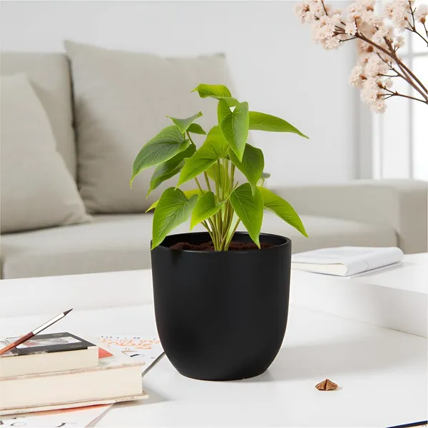 Avani_5D_Black_Ceramic_Pots_For_Indoor_Plants,_Planters,Gamla,Outdoor,Balcony,Home,Round,Garden,_Office_Decor,Succulent(H_-_11_X_D_-_13_Cm)