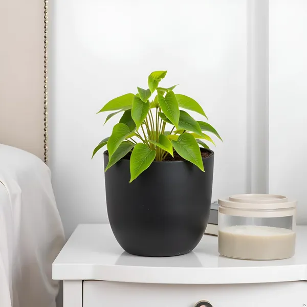Avani_5D_Black_Ceramic_Pots_For_Indoor_Plants,_Planters,Gamla,Outdoor,Balcony,Home,Round,Garden,_Office_Decor,Succulent(H_-_11_X_D_-_13_Cm)