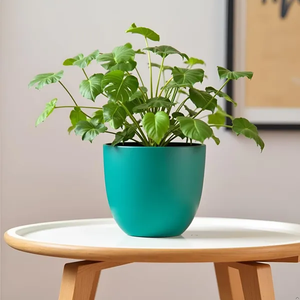 Avani_5D_Deep_Jungle_Ceramic_Pots_For_Indoor_Plants,_Planters,Gamla,Outdoor,Balcony,Home,Round,Garden,_Office_Decor,Succulent(H_-_11_X_D_-_13_Cm)