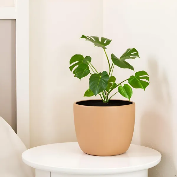 Avani_5D_Ginger_Ceramic_Pots_For_Indoor_Plants,_Planters,Gamla,Outdoor,Balcony,Home,Round,Garden,_Office_Decor,Succulent(H_-_11_X_D_-_13_Cm)