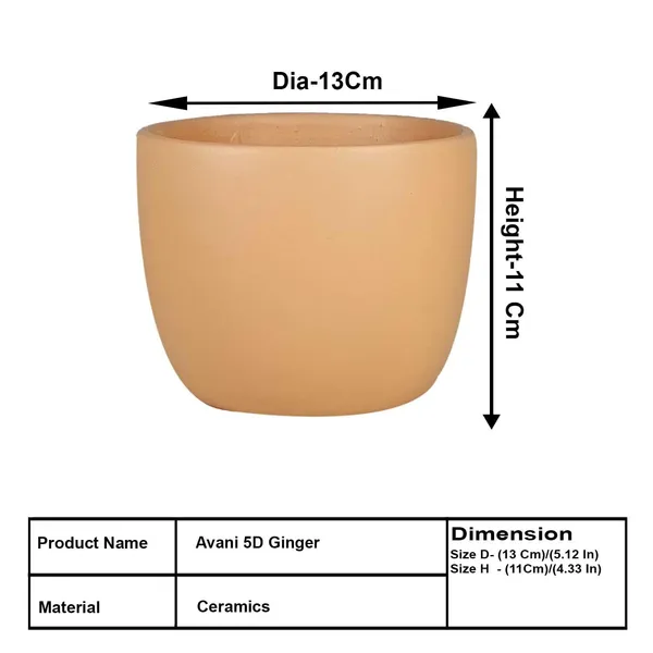 Avani_5D_Ginger_Ceramic_Pots_For_Indoor_Plants,_Planters,Gamla,Outdoor,Balcony,Home,Round,Garden,_Office_Decor,Succulent(H_-_11_X_D_-_13_Cm)