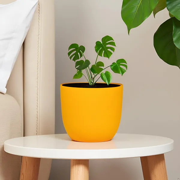 Avani_5D_Lily_Ceramic_Pots_For_Indoor_Plants,_Planters,Gamla,Outdoor,Balcony,Home,Round,Garden,_Office_Decor,Succulent(H_-_11_X_D_-_13_Cm)