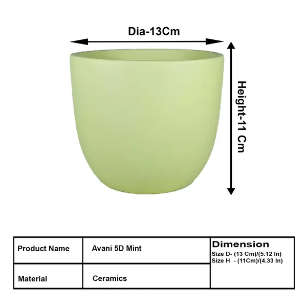 Avani_5D_Mint_Ceramic_Pots_For_Indoor_Plants,_Planters,Gamla,Outdoor,Balcony,Home,Round,Garden,_Office_Decor,Succulent(H_-_11_X_D_-_13_Cm)