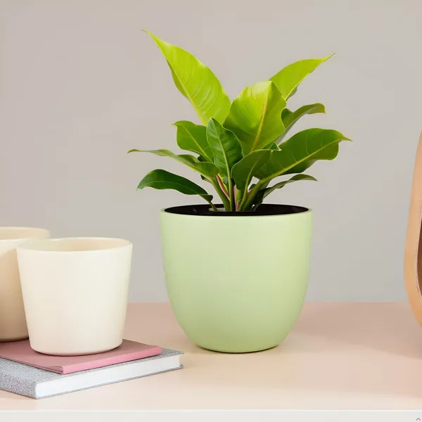 Avani_5D_Mint_Ceramic_Pots_For_Indoor_Plants,_Planters,Gamla,Outdoor,Balcony,Home,Round,Garden,_Office_Decor,Succulent(H_-_11_X_D_-_13_Cm)