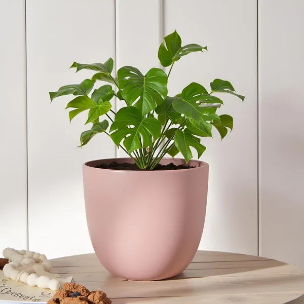 Avani_5D_Pink_Ceramic_Pots_For_Indoor_Plants,_Planters,Gamla,Outdoor,Balcony,Home,Round,Garden,_Office_Decor,Succulent(H_-_11_X_D_-_13_Cm)