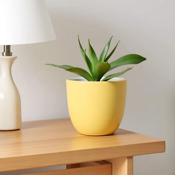 Avani_5D_Saffron_Ceramic_Pots_For_Indoor_Plants,_Planters,Gamla,Outdoor,Balcony,Home,Round,Garden,_Office_Decor,Succulent(H_-_11_X_D_-_13_Cm)