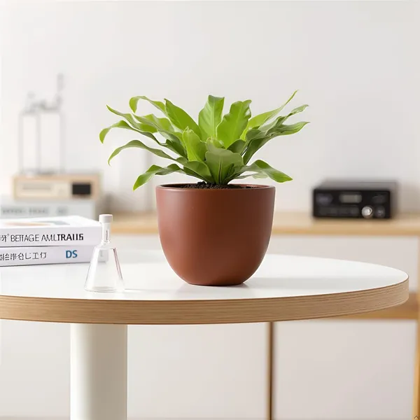 Avani_5D_Truffle_Ceramic_Pots_For_Indoor_Plants,_Planters,Gamla,Outdoor,Balcony,Home,Round,Garden,_Office_Decor,Succulent(H_-_11_X_D_-_13_Cm)