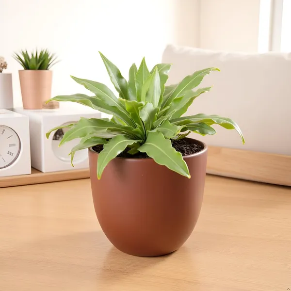 Avani_5D_Truffle_Ceramic_Pots_For_Indoor_Plants,_Planters,Gamla,Outdoor,Balcony,Home,Round,Garden,_Office_Decor,Succulent(H_-_11_X_D_-_13_Cm)