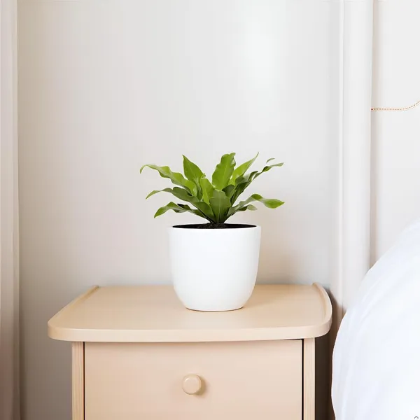 Avani_5D_White_Ceramic_Pots_For_Indoor_Plants,_Planters,Gamla,Outdoor,Balcony,Home,Round,Garden,_Office_Decor,Succulent(H_-_11_X_D_-_13_Cm)