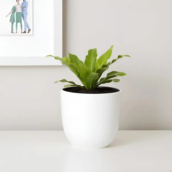 Avani_5D_White_Ceramic_Pots_For_Indoor_Plants,_Planters,Gamla,Outdoor,Balcony,Home,Round,Garden,_Office_Decor,Succulent(H_-_11_X_D_-_13_Cm)
