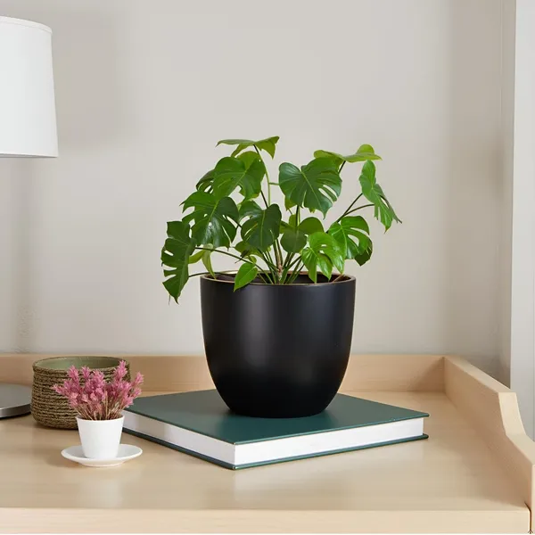 Avani_5D_Black_Gold_Ceramic_Pots_For_Indoor_Plants,_Planters,Gamla,Outdoor,Balcony,Home,Round,Garden,_Office_Decor,Succulent(H_-_11_X_D_-_13_Cm)