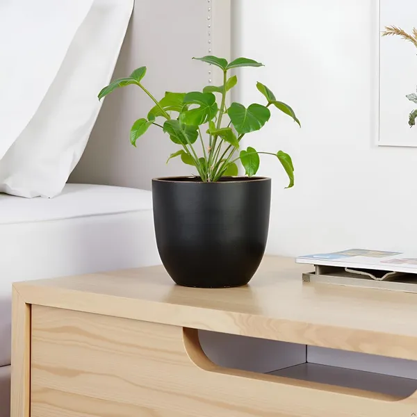Avani_5D_Black_Gold_Ceramic_Pots_For_Indoor_Plants,_Planters,Gamla,Outdoor,Balcony,Home,Round,Garden,_Office_Decor,Succulent(H_-_11_X_D_-_13_Cm)
