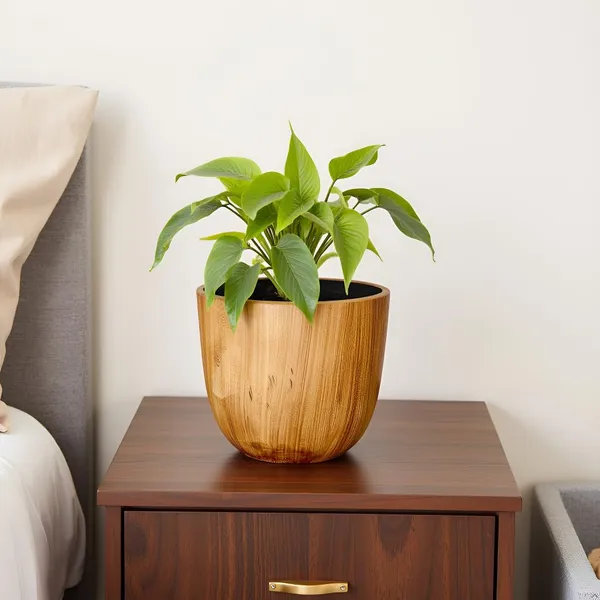 Avani_6D_Antique_Ceramic_Pots_For_Indoor_Plants,_Planters,Gamla,Outdoor,Balcony,Home,Round,Garden,_Office_Decor,Succulent(H_-_13_X_D_-_15.5_Cm)