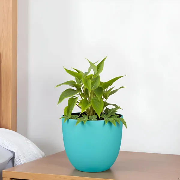 Avani_6D_Aqua_Ceramic_Pots_For_Indoor_Plants,_Planters,Gamla,Outdoor,Balcony,Home,Round,Garden,_Office_Decor,Succulent(H_-_13_X_D_-_15.5_Cm)