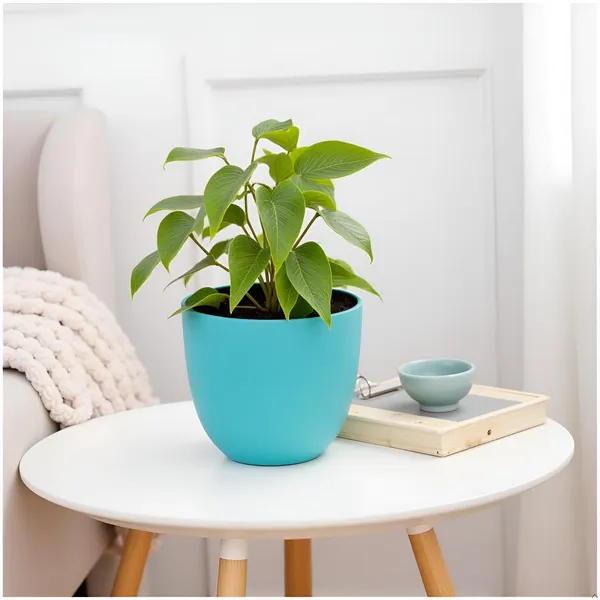 Avani_6D_Aqua_Ceramic_Pots_For_Indoor_Plants,_Planters,Gamla,Outdoor,Balcony,Home,Round,Garden,_Office_Decor,Succulent(H_-_13_X_D_-_15.5_Cm)