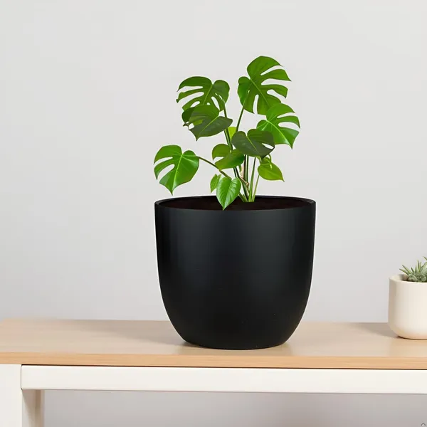 Avani_6D_Black_Ceramic_Pots_For_Indoor_Plants,_Planters,Gamla,Outdoor,Balcony,Home,Round,Garden,_Office_Decor,Succulent(H_-_13_X_D_-_15.5_Cm)