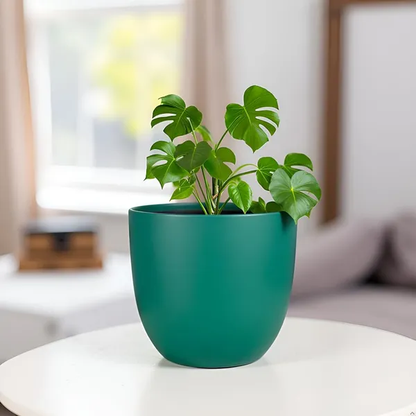 Avani_6D_Deep_Jungle_Ceramic_Pots_For_Indoor_Plants,_Planters,Gamla,Outdoor,Balcony,Home,Round,Garden,_Office_Decor,Succulent(H_-_13_X_D_-_15.5_Cm)