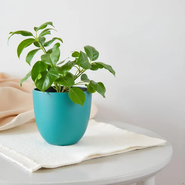 Avani_6D_Deep_Jungle_Ceramic_Pots_For_Indoor_Plants,_Planters,Gamla,Outdoor,Balcony,Home,Round,Garden,_Office_Decor,Succulent(H_-_13_X_D_-_15.5_Cm)
