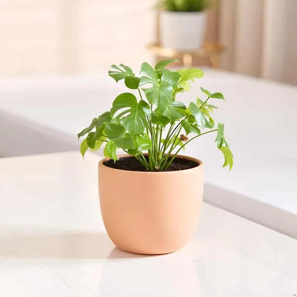 Avani_6D_Ginger_Ceramic_Pots_For_Indoor_Plants,_Planters,Gamla,Outdoor,Balcony,Home,Round,Garden,_Office_Decor,Succulent(H_-_13_X_D_-_15.5_Cm)