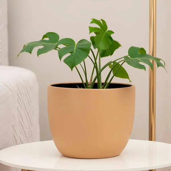 Avani_6D_Ginger_Ceramic_Pots_For_Indoor_Plants,_Planters,Gamla,Outdoor,Balcony,Home,Round,Garden,_Office_Decor,Succulent(H_-_13_X_D_-_15.5_Cm)