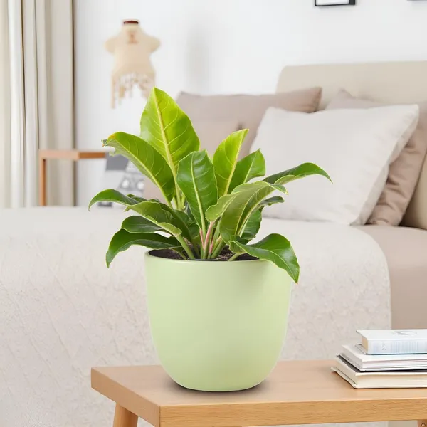 Avani_6D_Mint_Ceramic_Pots_For_Indoor_Plants,_Planters,Gamla,Outdoor,Balcony,Home,Round,Garden,_Office_Decor,Succulent(H_-_13_X_D_-_15.5_Cm)