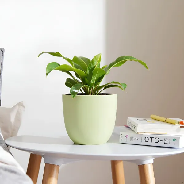 Avani_6D_Mint_Ceramic_Pots_For_Indoor_Plants,_Planters,Gamla,Outdoor,Balcony,Home,Round,Garden,_Office_Decor,Succulent(H_-_13_X_D_-_15.5_Cm)