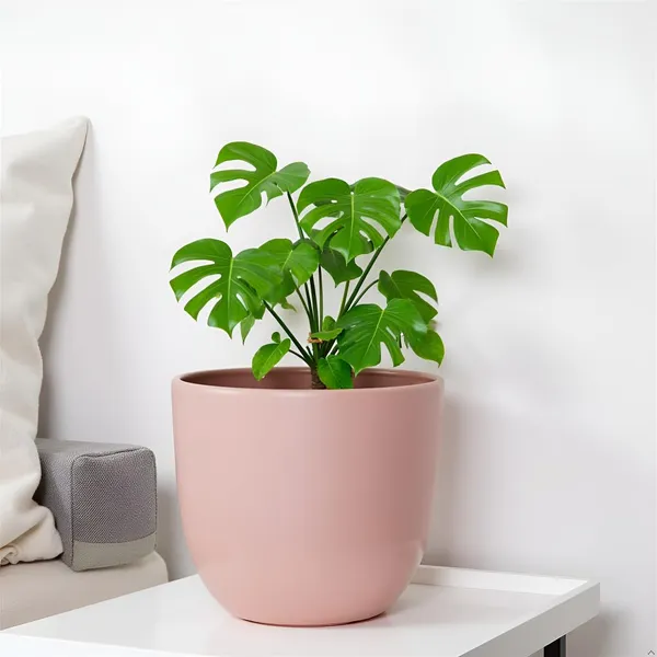 Avani_6D_Pink_Ceramic_Pots_For_Indoor_Plants,_Planters,Gamla,Outdoor,Balcony,Home,Round,Garden,_Office_Decor,Succulent(H_-_13_X_D_-_15.5_Cm)
