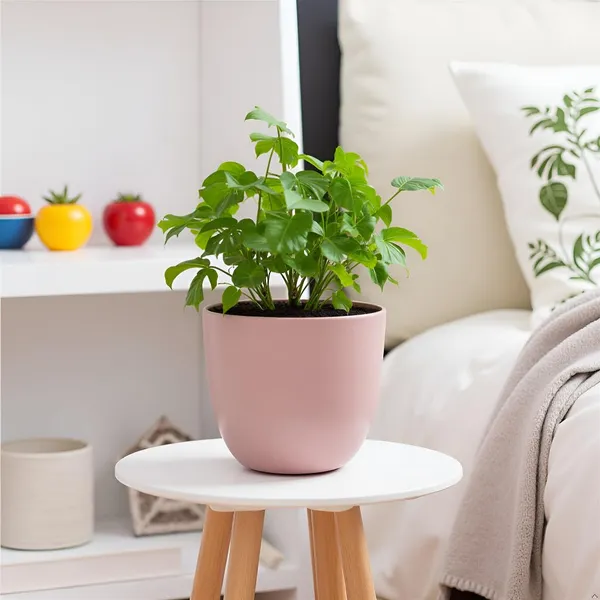 Avani_6D_Pink_Ceramic_Pots_For_Indoor_Plants,_Planters,Gamla,Outdoor,Balcony,Home,Round,Garden,_Office_Decor,Succulent(H_-_13_X_D_-_15.5_Cm)