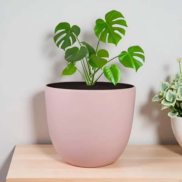 Avani_6D_Pink_Ceramic_Pots_For_Indoor_Plants,_Planters,Gamla,Outdoor,Balcony,Home,Round,Garden,_Office_Decor,Succulent(H_-_13_X_D_-_15.5_Cm)