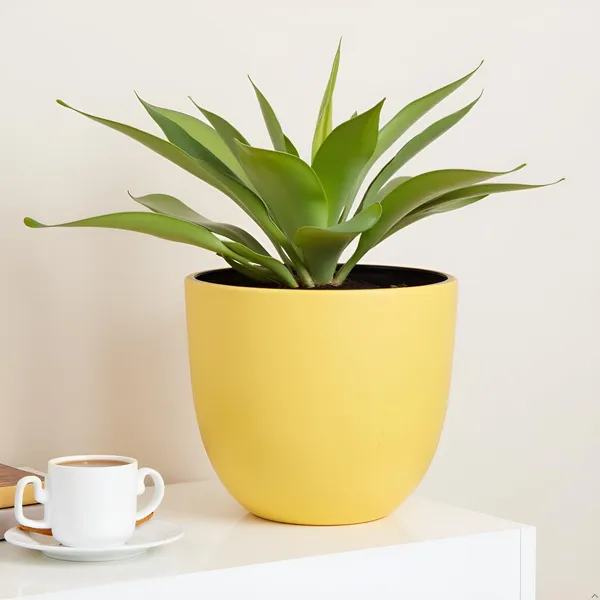 Avani_6D_Saffron_Ceramic_Pots_For_Indoor_Plants,_Planters,Gamla,Outdoor,Balcony,Home,Round,Garden,_Office_Decor,Succulent(H_-_13_X_D_-_15.5_Cm)