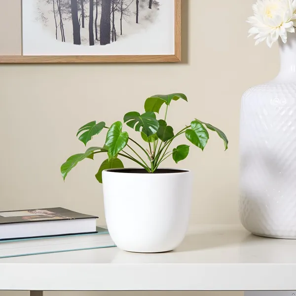 Avani_6D_White_Ceramic_Pots_For_Indoor_Plants,_Planters,Gamla,Outdoor,Balcony,Home,Round,Garden,_Office_Decor,Succulent(H_-_13_X_D_-_15.5_Cm)