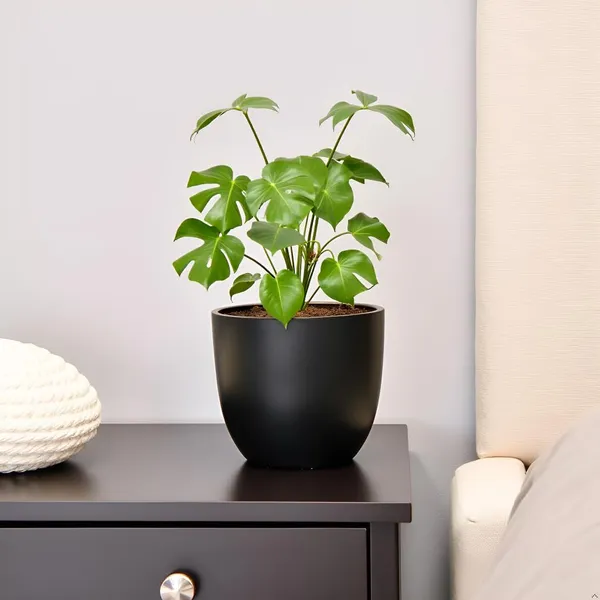 Avani_6D_Black_Gold_Ceramic_Pots_For_Indoor_Plants,_Planters,Gamla,Outdoor,Balcony,Home,Round,Garden,_Office_Decor,Succulent(H_-_13_X_D_-_15.5_Cm)