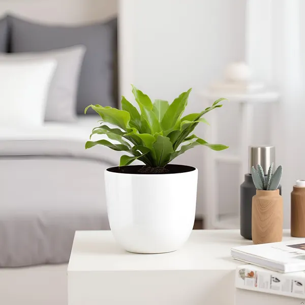 Avani_4.5D_White_Ht_Ceramic_Pots_For_Indoor_Plants,_Planters,Gamla,Outdoor,Balcony,Home,Round,Garden,_Office_Decor,Succulent(H_-_9_X_D_-_11.5_Cm)