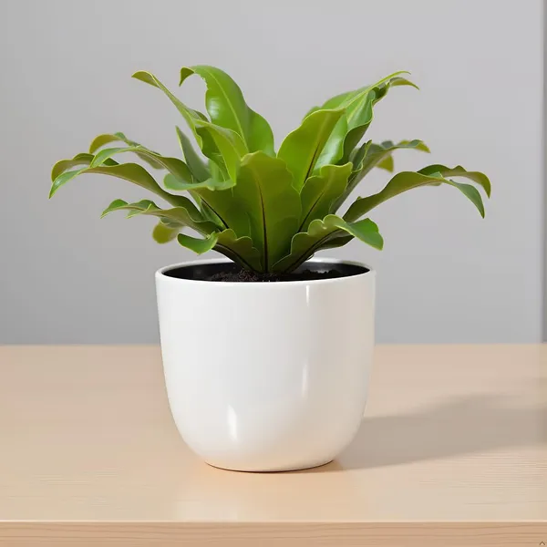 Avani_5D_White_Ht_Ceramic_Pots_For_Indoor_Plants,_Planters,Gamla,Outdoor,Balcony,Home,Round,Garden,_Office_Decor,Succulent(H_-_11_X_D_-_13_Cm)