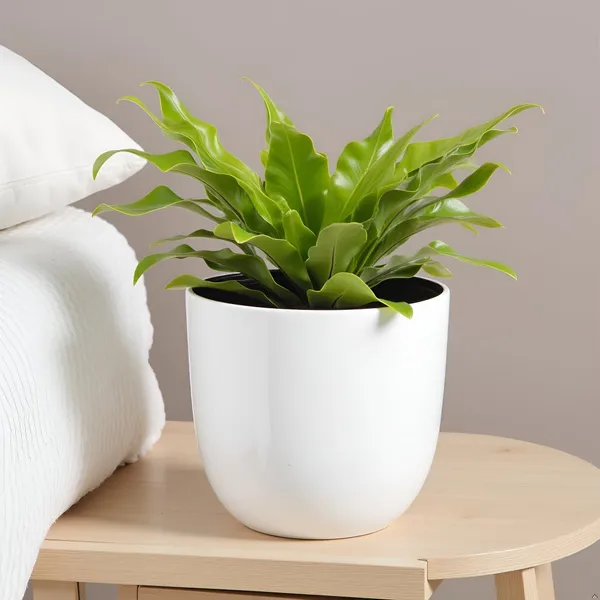 Avani_6D_White_Ht_Ceramic_Pots_For_Indoor_Plants,_Planters,Gamla,Outdoor,Balcony,Home,Round,Garden,_Office_Decor,Succulent(H_-_13_X_D_-_15.5_Cm)