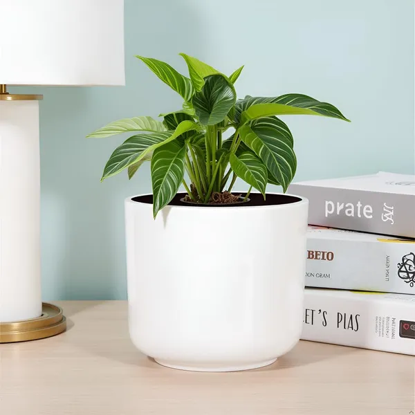 Orin_6D_White_Ht_Ceramic_Pots_For_Indoor_Plants,_Planters,Gamla,Outdoor,Balcony,Home,Round,Garden,_Office_Decor,Succulent(H_-_13.5_X_D_-_15.5_Cm)
