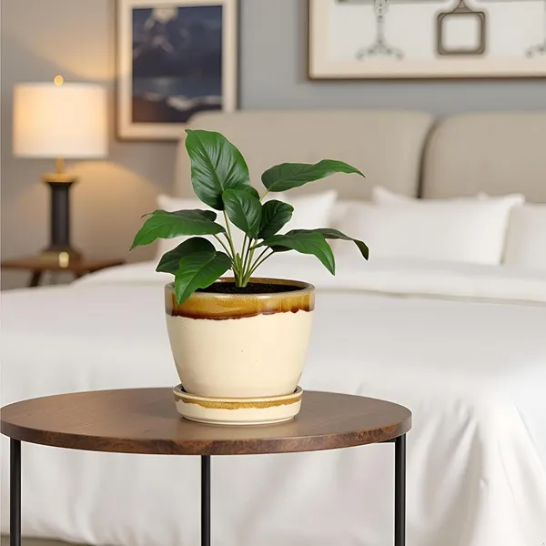 Core_With_Plate_Beige_Dt1_Ceramic_Pots_For_Indoor_Plants,Planters,Flower,Gamla,Outdoor(Pot-D-9.5_X_H-8.5Cm,Plate-D-9.5_Xh-1.5_Cm)