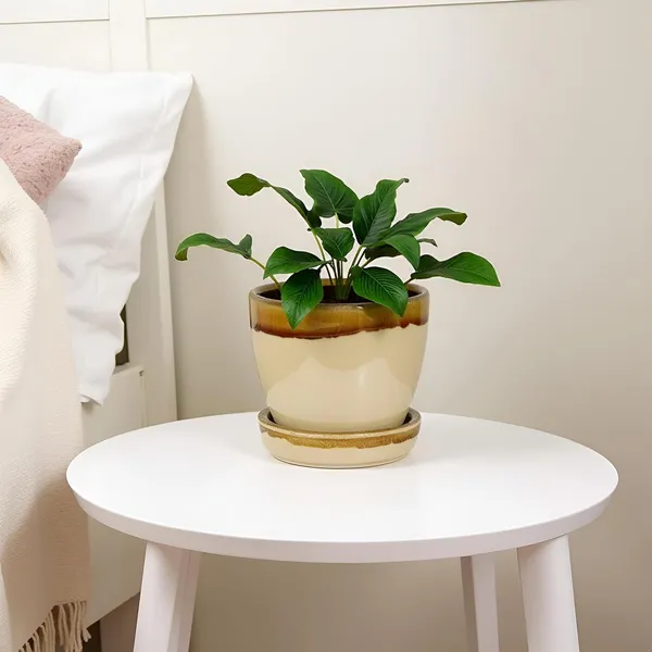 Core_With_Plate_Beige_Dt1_Ceramic_Pots_For_Indoor_Plants,Planters,Flower,Gamla,Outdoor(Pot-D-9.5_X_H-8.5Cm,Plate-D-9.5_Xh-1.5_Cm)