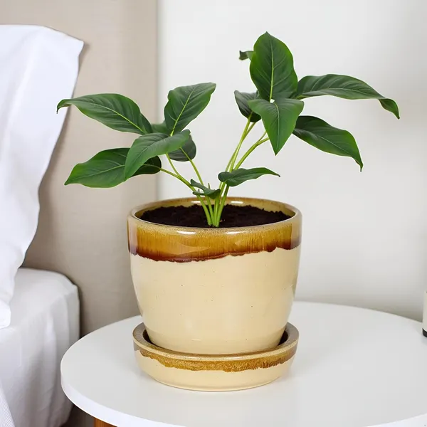Core_With_Plate_Beige_Dt1_Ceramic_Pots_For_Indoor_Plants,Planters,Flower,Gamla,Outdoor(Pot-D-9.5_X_H-8.5Cm,Plate-D-9.5_Xh-1.5_Cm)
