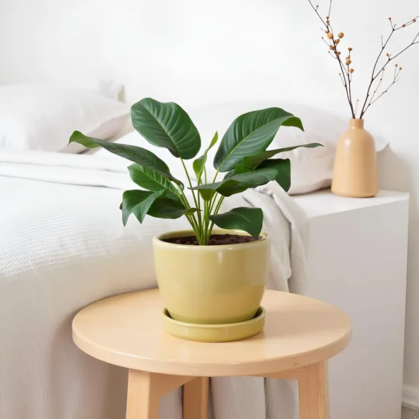 Core_With_Plate_Brown__Ceramic_Pots_For_Indoor_Plants,Planters,Flower,Gamla,Outdoor(Pot-D-9.5_X_H-8.5Cm,Plate-D-9.5_Xh-1.5_Cm)