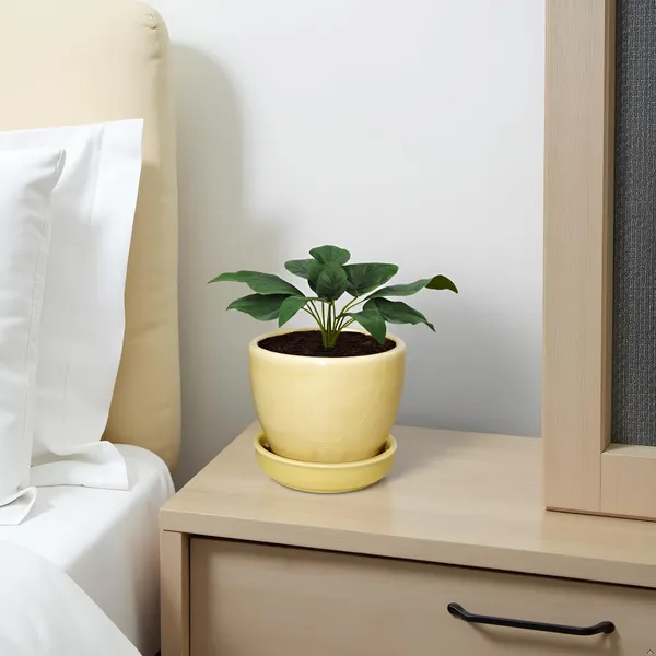 Core_With_Plate_Brown__Ceramic_Pots_For_Indoor_Plants,Planters,Flower,Gamla,Outdoor(Pot-D-9.5_X_H-8.5Cm,Plate-D-9.5_Xh-1.5_Cm)