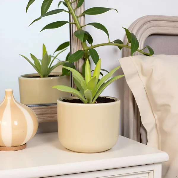 Orin_6D_Brown__Ceramic_Pots_For_Indoor_Plants,_Planters,Gamla,Outdoor,Balcony,Home,Round,Garden,_Office_Decor,Succulent(H_-_13.5_X_D_-_15.5_Cm)