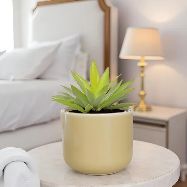 Orin_6D_Brown__Ceramic_Pots_For_Indoor_Plants,_Planters,Gamla,Outdoor,Balcony,Home,Round,Garden,_Office_Decor,Succulent(H_-_13.5_X_D_-_15.5_Cm)