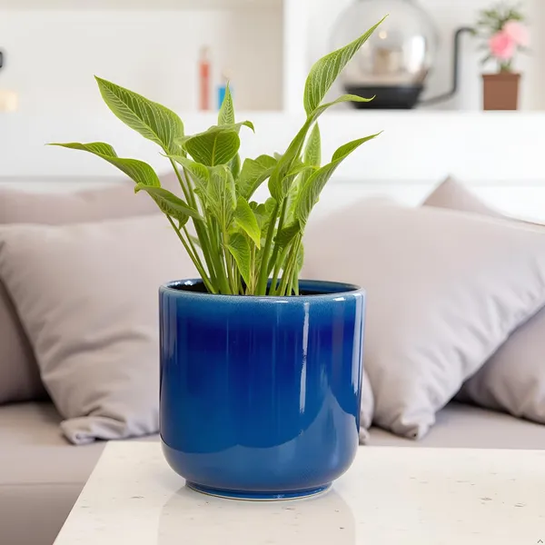Orin_6D_Blue_0_Ceramic_Pots_For_Indoor_Plants,_Planters,Gamla,Outdoor,Balcony,Home,Round,Garden,_Office_Decor,Succulent(H_-_13.5_X_D_-_15.5_Cm)