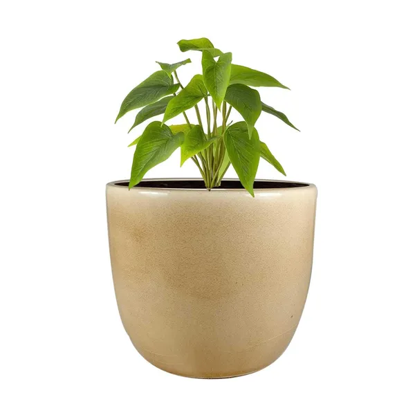 Avani_6D_Brown__Ceramic_Pots_For_Indoor_Plants,_Planters,Gamla,Outdoor,Balcony,Home,Round,Garden,_Office_Decor,Succulent(H_-_13_X_D_-_15.5_Cm)