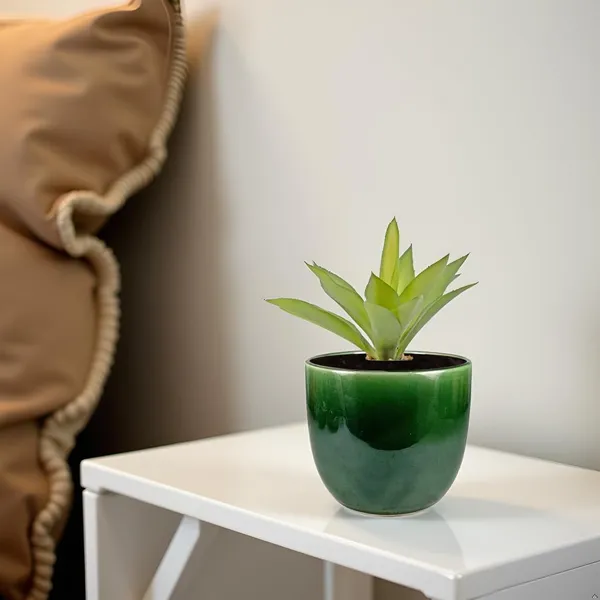 Avani_6D_Green_Ht5_Ceramic_Pots_For_Indoor_Plants,_Planters,Gamla,Outdoor,Balcony,Home,Round,Garden,_Office_Decor,Succulent(H_-_13_X_D_-_15.5_Cm)